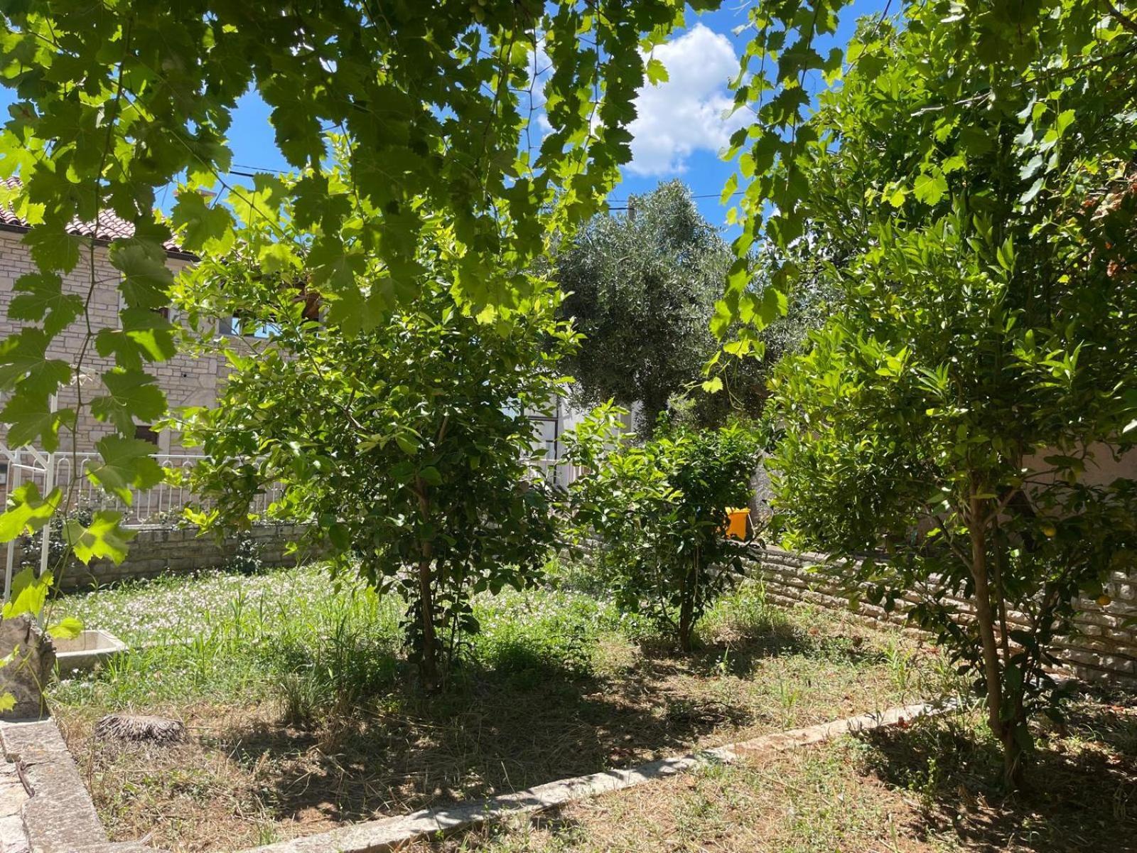 Villa Giulia Ližnjan Exterior foto